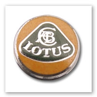 pin badge