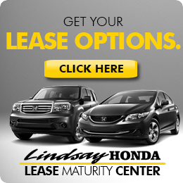 Get Your Lease Options